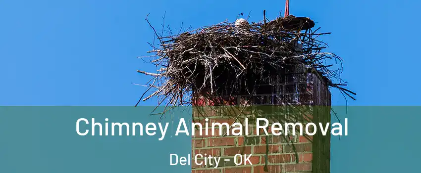  Chimney Animal Removal Del City - OK