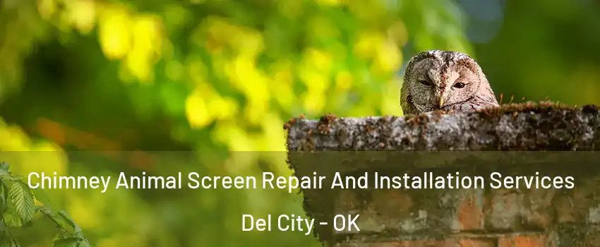  Chimney Animal Screen Repair And Installation Services Del City - OK