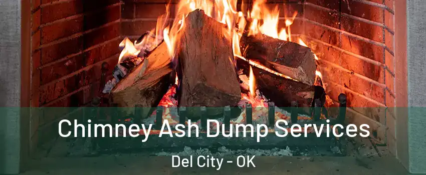 Chimney Ash Dump Services Del City - OK