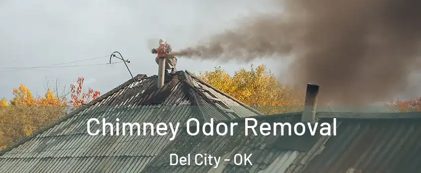  Chimney Odor Removal Del City - OK