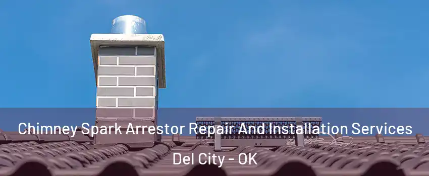  Chimney Spark Arrestor Repair And Installation Services Del City - OK