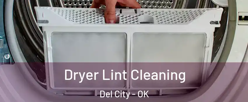  Dryer Lint Cleaning Del City - OK