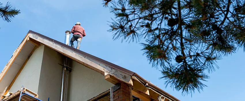 Birds Removal Contractors from Chimney in Del City, OK