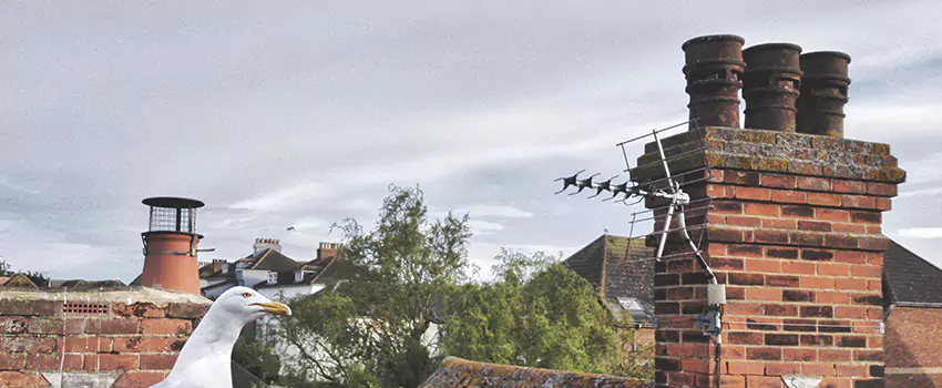 Chimney Cleaning And Restoration in Del City, Oklahoma